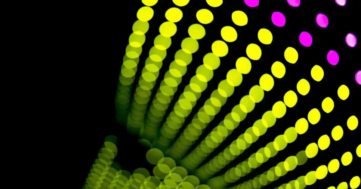 2024 Güncel Karkas Et Fiyatları ve Piyasa Analizi Türkiye Geneli