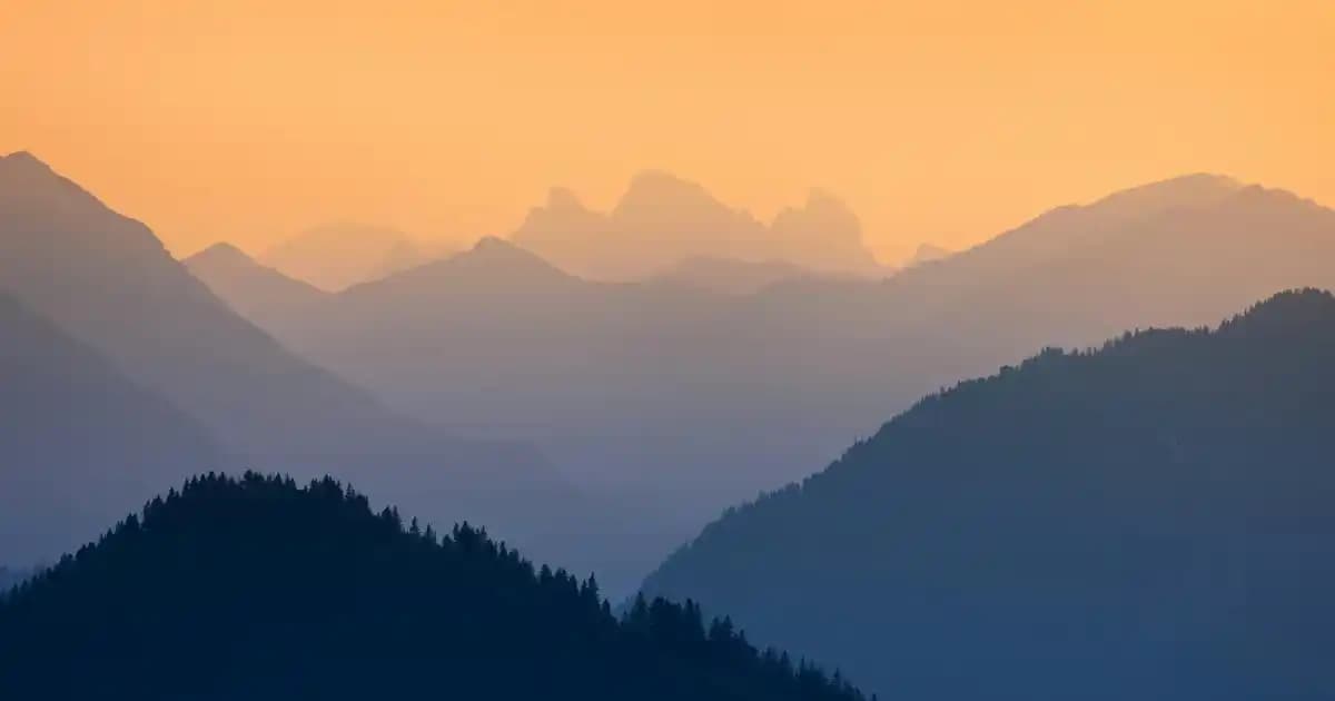 Açlık Oyunları ve Tematik Oyunların Kültürel ve Tüketim Bağlantıları üzerine Analiz