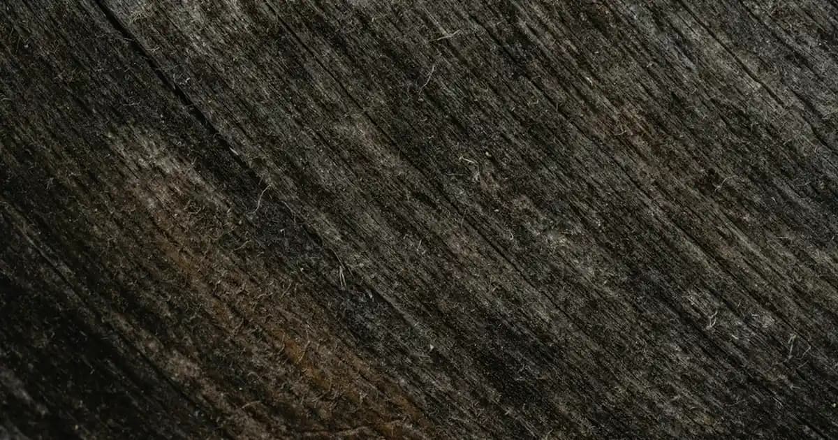 2025'te Actisoft Yumuşatıcı ile Kıyafetlerinize Değer Katmanın 5 Sırrı