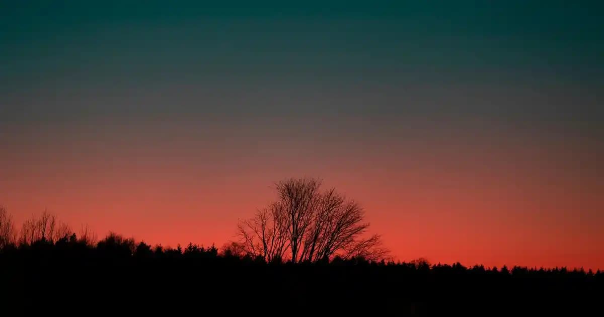 Amerika’da Güncel Et Fiyatları ve Marketlerdeki Durum Analizi 2025