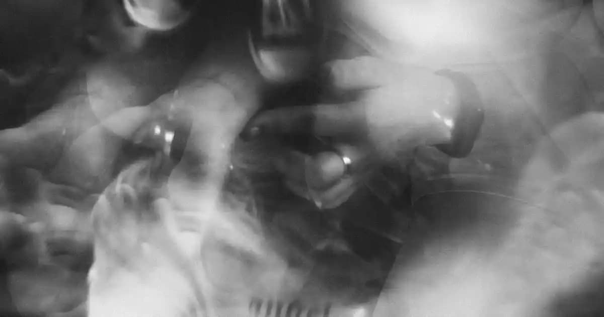 Ankara’da Cennet Papağanı Satın Alma ve Bakım Rehberi