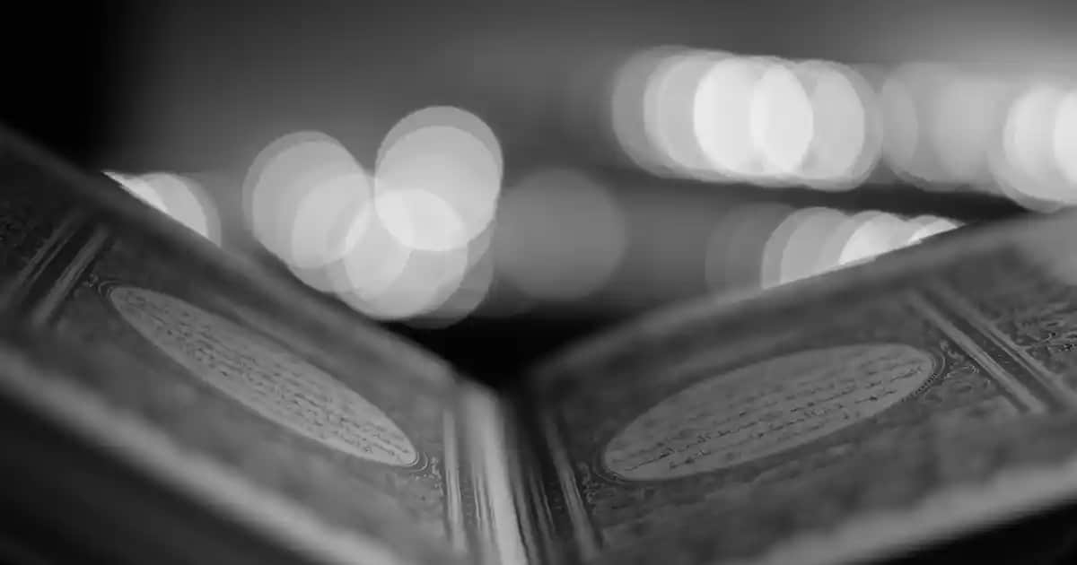 Arı Sütü Fiyatları ve Satın Alma Rehberi: En Uygun ve Güvenilir Seçenekler