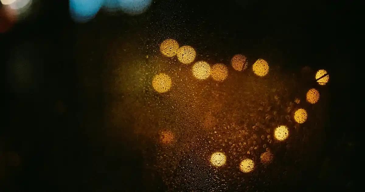 2025'te Bağcı Zeytin: Sofralarınızı Şenlendirecek 5 Lezzet Sırrı