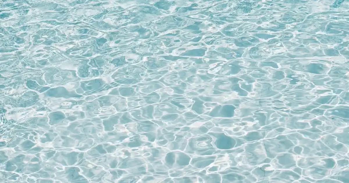 Balığın Sağlığa Faydaları ve Süpermarketlerde Ulaşılabilirliği Hakkında Bilgiler