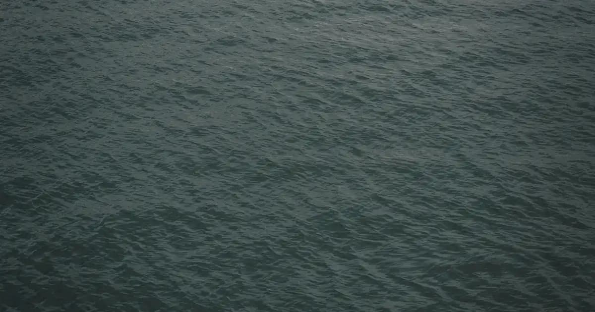 Balık ve Süt Tüketimi: Sağlık Üzerindeki Etkileri ve Doğru Tüketim Yöntemleri