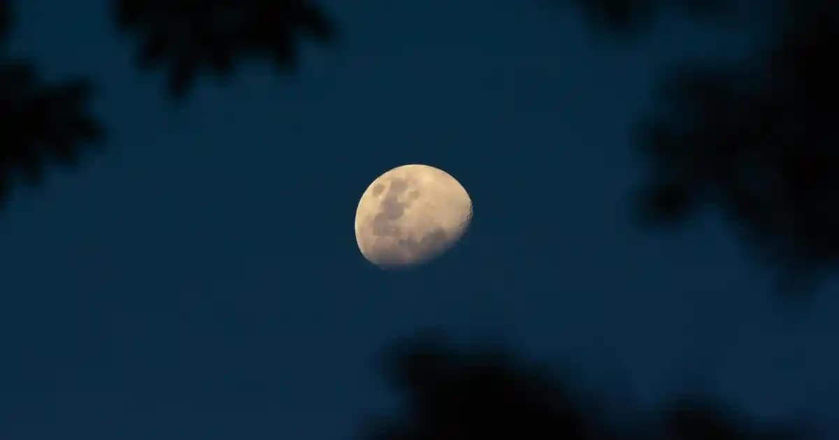 Balmy 3 Etkili Ayak Törpüsü ile Sağlıklı ve Pürüzsüz Ayaklar İçin En İyi Çözüm