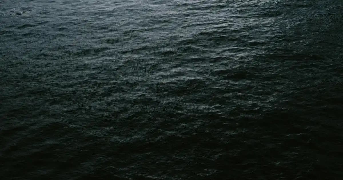 Basmati ve Normal Pirinç Arasındaki Farklar: Seçim Yaparken Bilmeniz Gerekenler