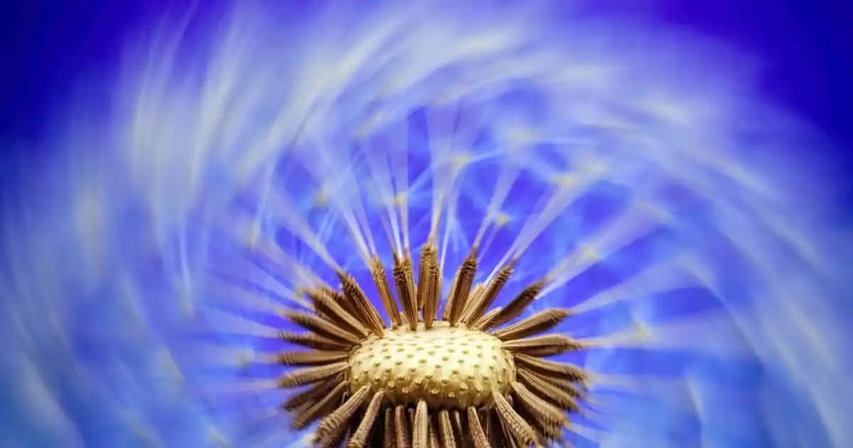 Bebekler İçin En Etkili Gaz Damlası Seçenekleri ve Kullanım İpuçları