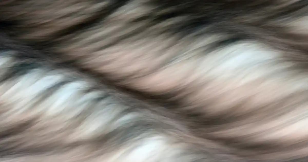 beIN CONNECT Paketleri: Çeşitli içeriklerle Dijital Eğlence ve Spor Keyfi