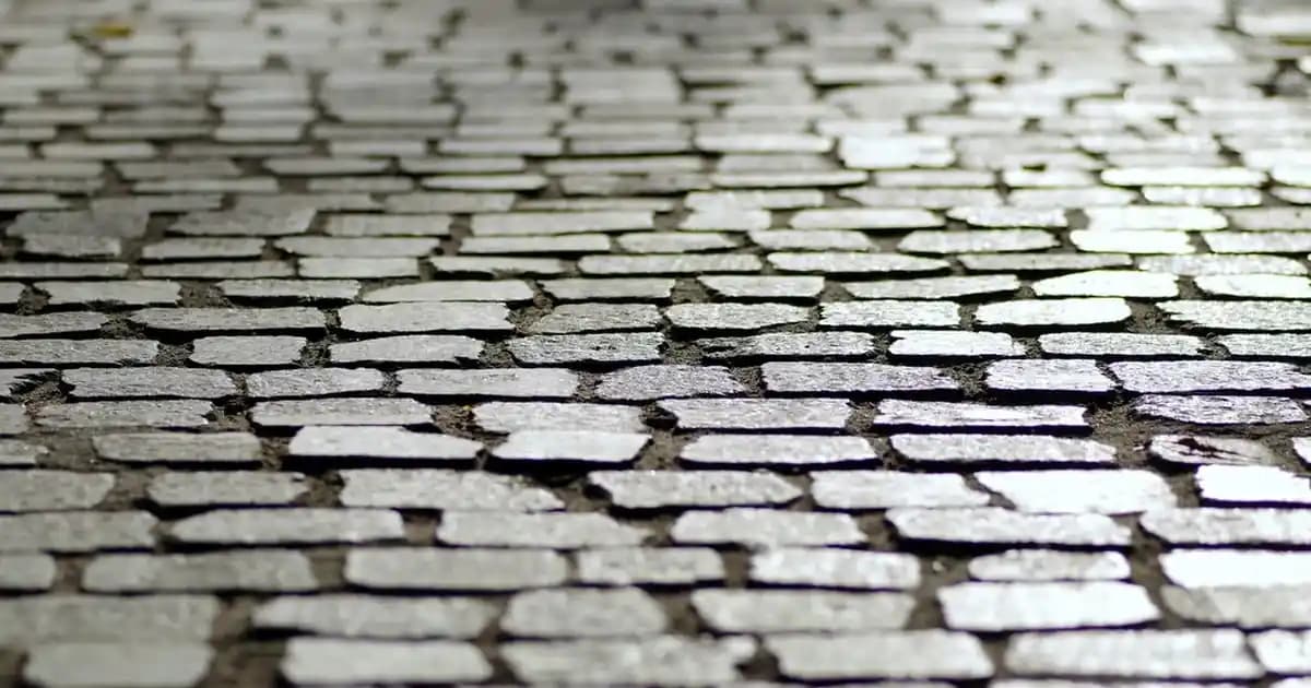 Belek Migros: Tatil ve Günlük Alışverişleriniz İçin Güvenilir Market Seçeneği