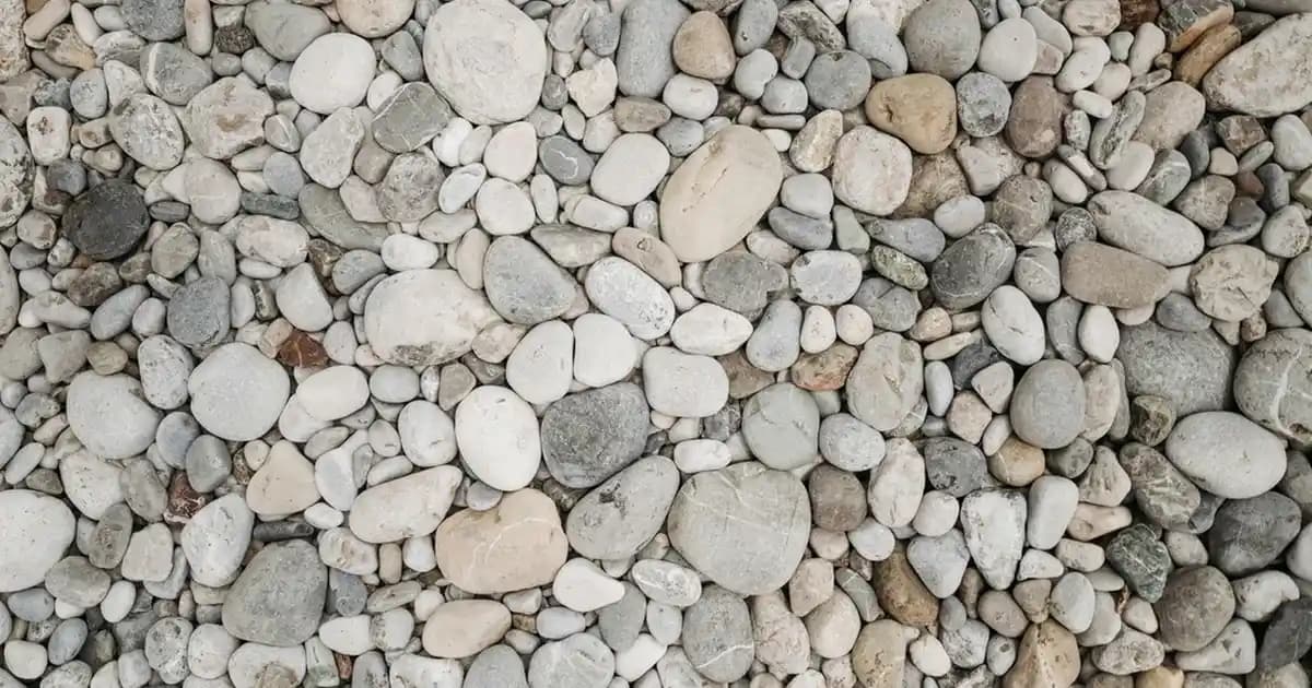 Belek'teki Migros Şubesi: Güvenilir ve Geniş Ürün Yelpazesiyle Alışverişin Yeni Adresi