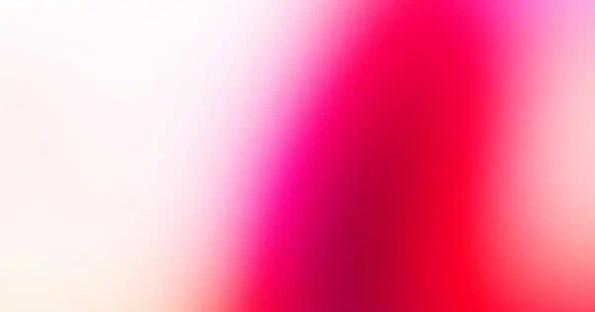 BİM’de Ekonomik ve Kaliteli Kedi Kumu Seçenekleri 2024