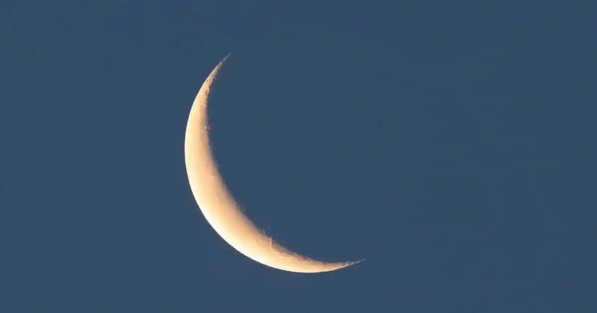 Bitter Gofret Nedir ve Hangi Markalar En İyisini Sunuyor