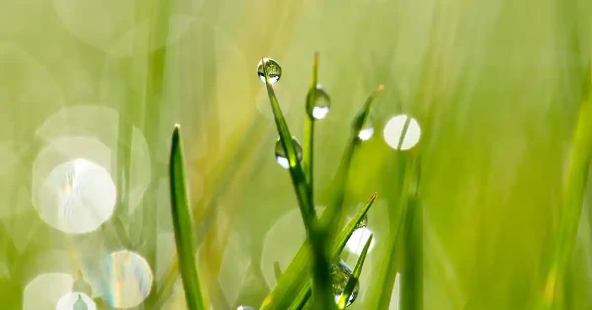 Bosch EEA090 Akülü Ultra 4’lü Set 58VF 5Ah ile Çok Yönlü Güç ve Dayanıklılık