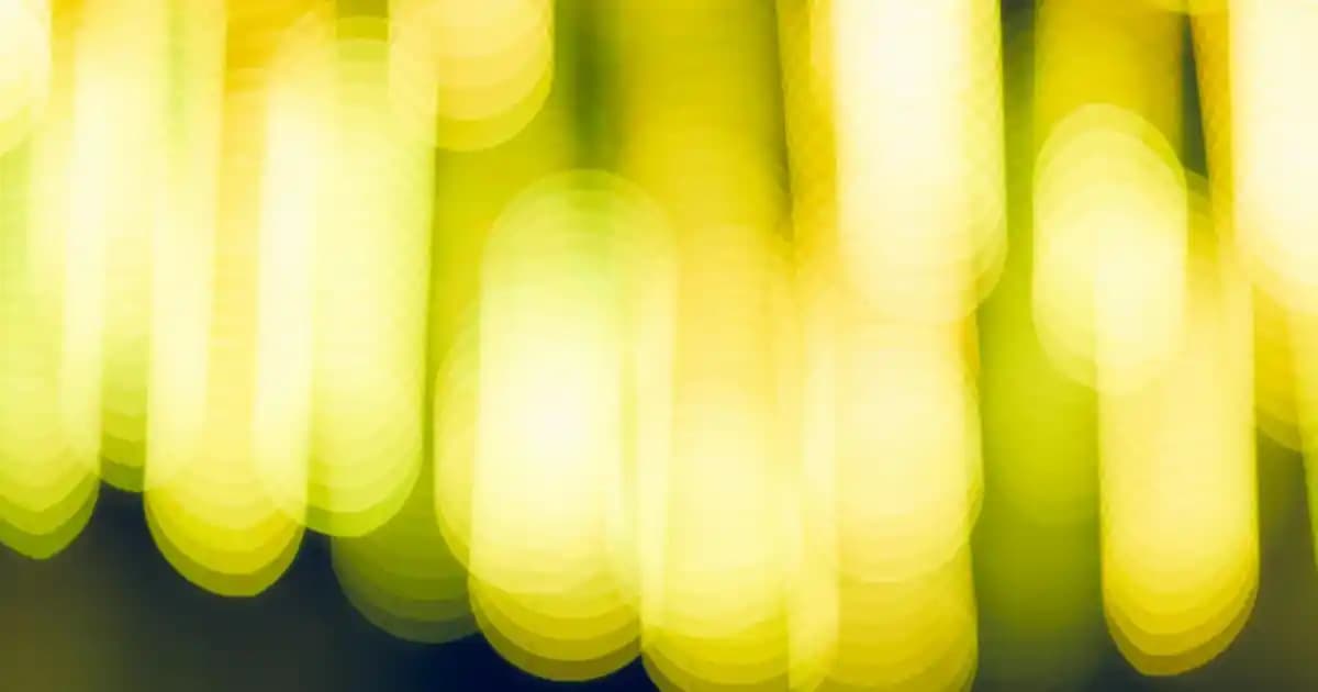 Bursa’nın Güvenilir ve Köklü Süpermarket Zinciri Seyhan Market Özellikleri