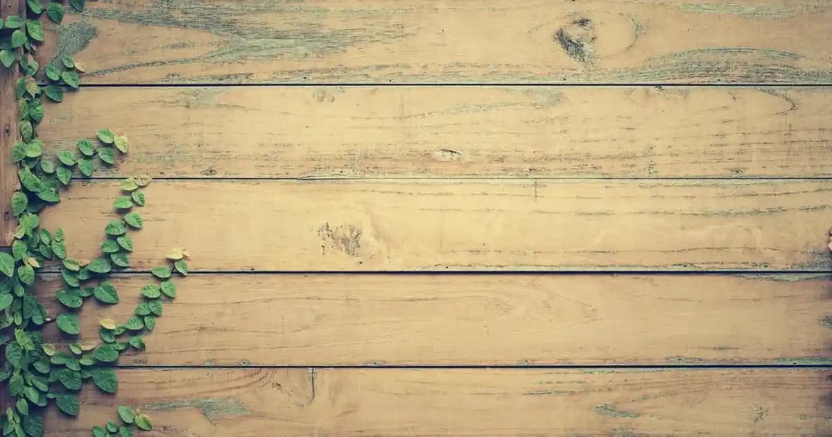 Çikolatalı Pasta Tarifleri ve Yapım Püf Noktalarıyla Lezzetli Sunumlar