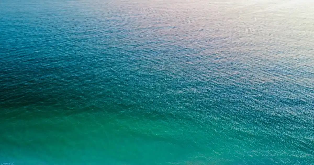 2025'te Aracınız İçin Cilalı Oto Şampuanı 5 LT ile Parlaklığın Sırrı