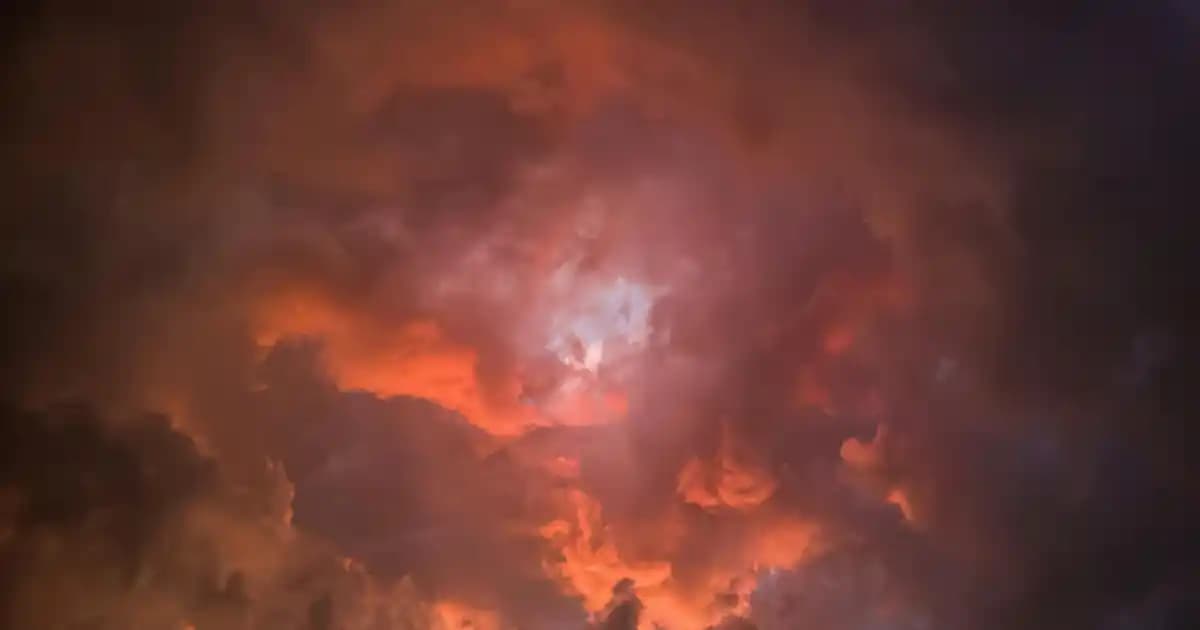 2025'te Çinko Eksikliğiyle Mücadelede Süpermarketin En Güçlü Besinleri