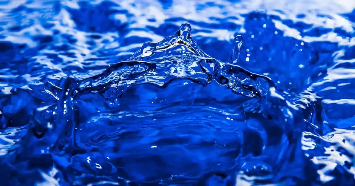 Danone Orman Meyveli Yoğurt: Doğal Tatlar ve Sağlıklı Beslenme İçin Uygun Seçenek