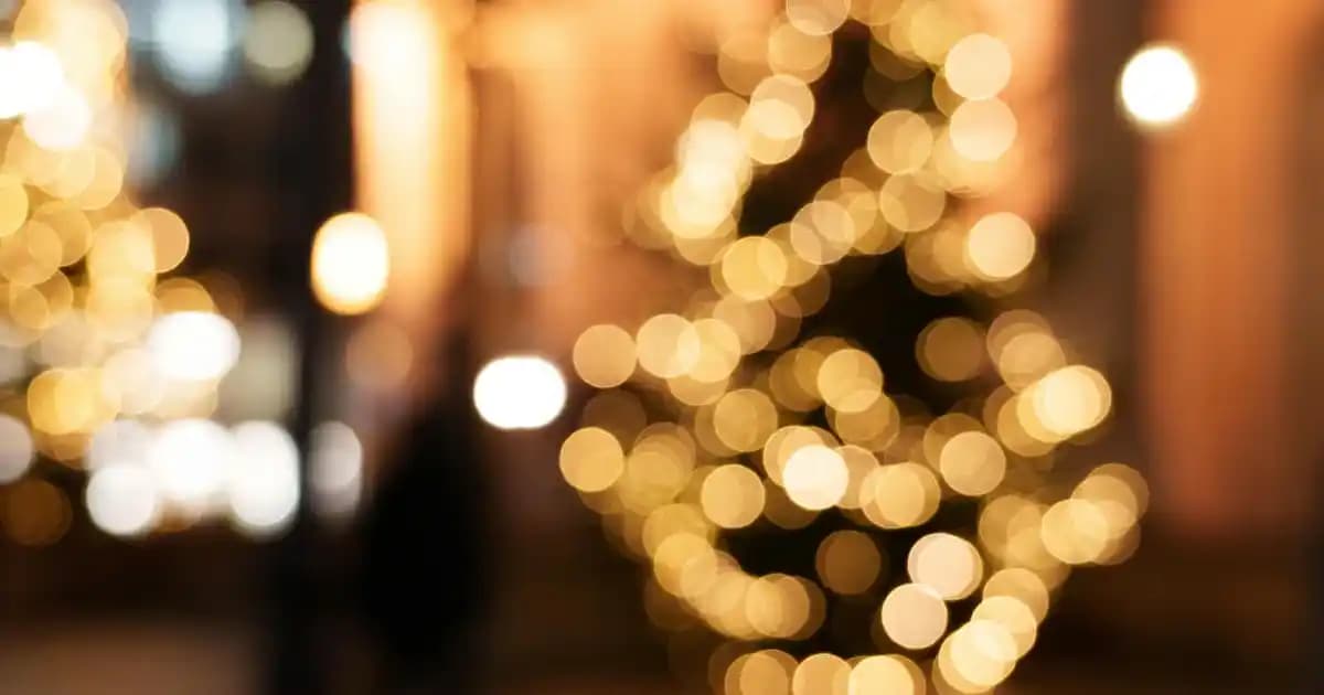 Darı Unu Nedir, Faydaları ve Sağlıklı Tariflerde Kullanımı Hakkında Bilgi