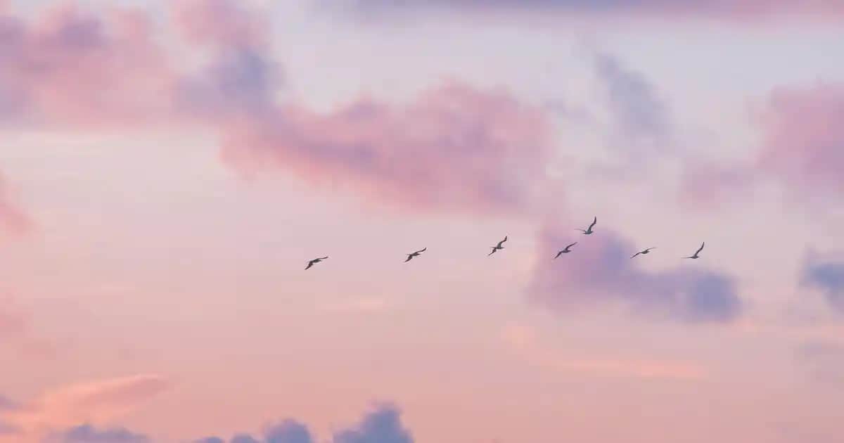 Derma Delete Soyucu Krem ile Cilt Yenileme ve Parlaklık Sağlayan Etkili Bakım