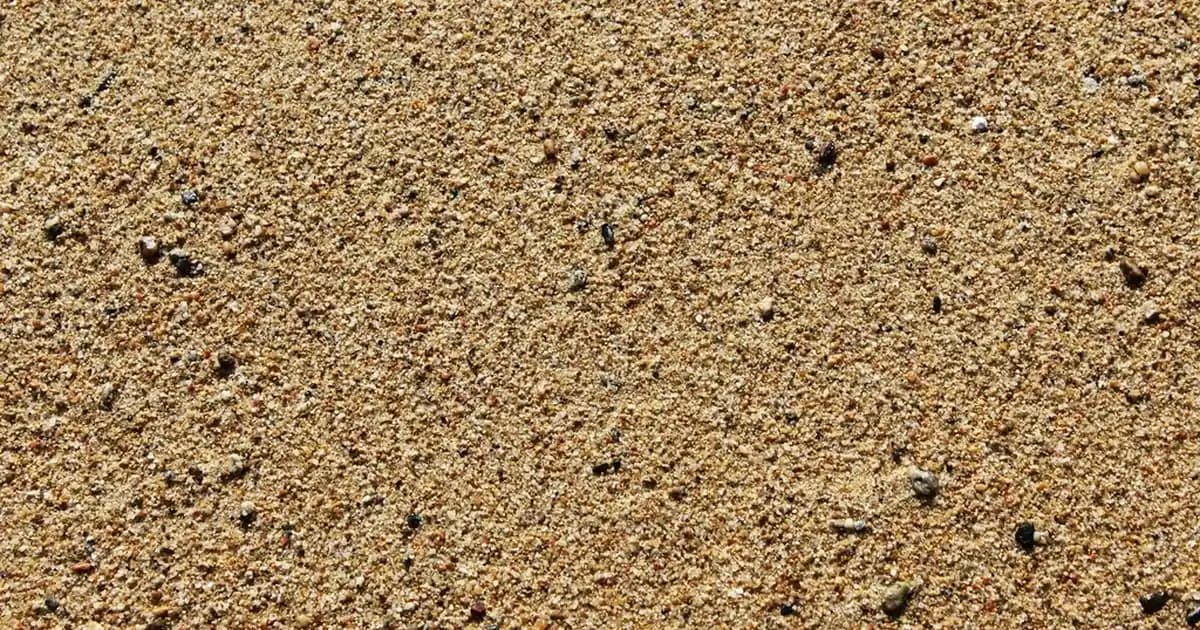 DİMES Karamelli Milkshake: Yoğun Karamel Tadıyla Pratik ve Lezzetli İçecek