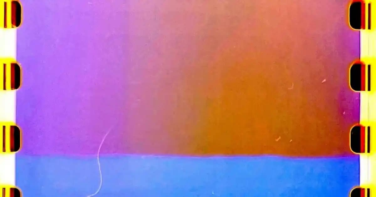 Diyet Lifi Nedir ve Sağlıklı Bir Yaşam İçin Nasıl Kullanılır