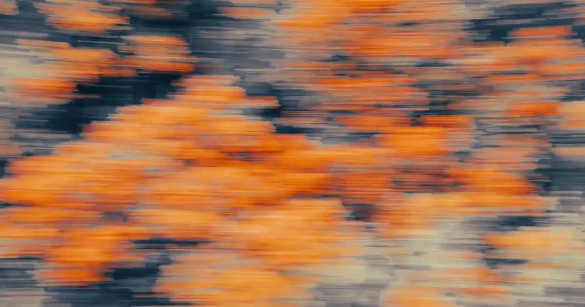 Dubai’de Süpermarket İşletmeleri İçin Şirket Kurma Rehberi ve Stratejiler