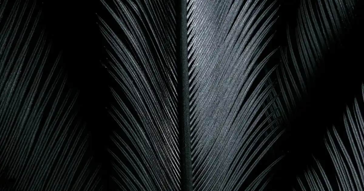 E Vitamini Yağı ve Saç Sağlığı: Doğal Yöntemlerle Güçlü ve Parlak Saçlar