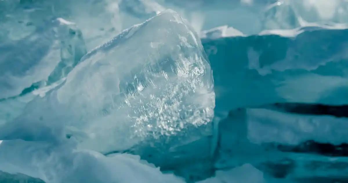 Ekmek Arası Tavuk Döner Tarifi ve Servis Önerileriyle Lezzetli Atıştırmalık