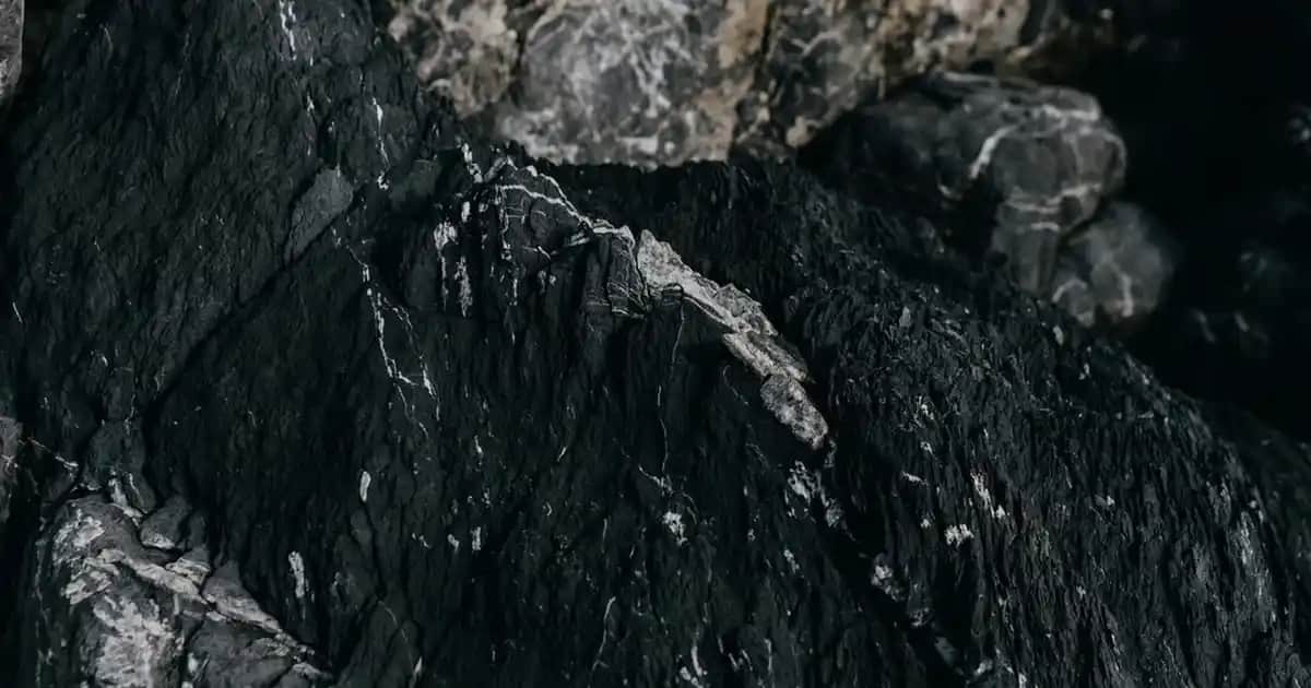 Fairy Platinum Sıvı Bulaşık Deterjanı: Güçlü Temizlik ve Hijyen Sağlayan Ürün Özellikleri