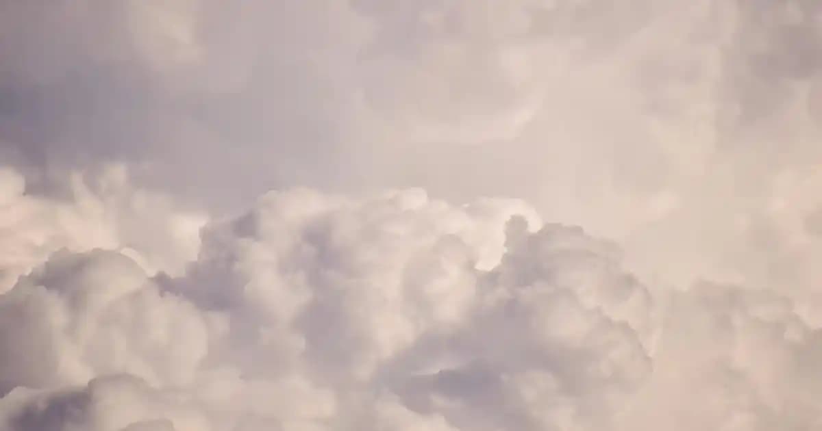 Fermuarlı Poşet Çanta: Süpermarketlerde Güvenli ve Pratik Ambalaj Çözümü