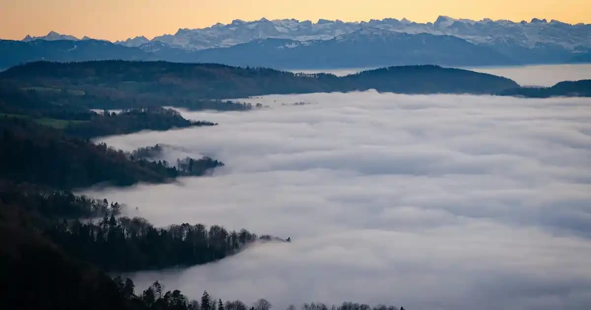 Fındık Yağı Sağlık Üzerindeki Etkileri ve Kullanım Alanları Hakkında Detaylı Bilgi