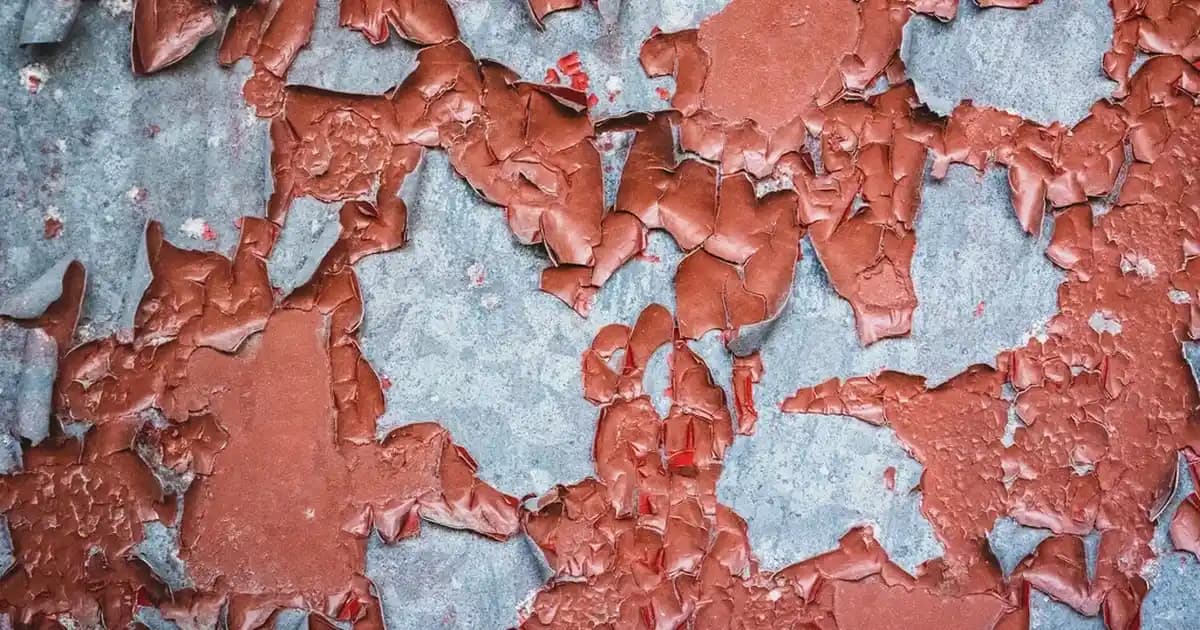 Folik Asit Tabletleri: Gebelik ve Sağlık İçin Temel Takviye Rehberi