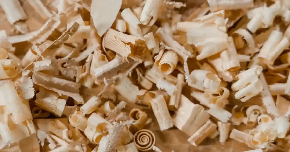 Gaziantep'te Evde Paketleme İşleriyle Ek Gelir Sağlama Fırsatları ve İş İpuçları