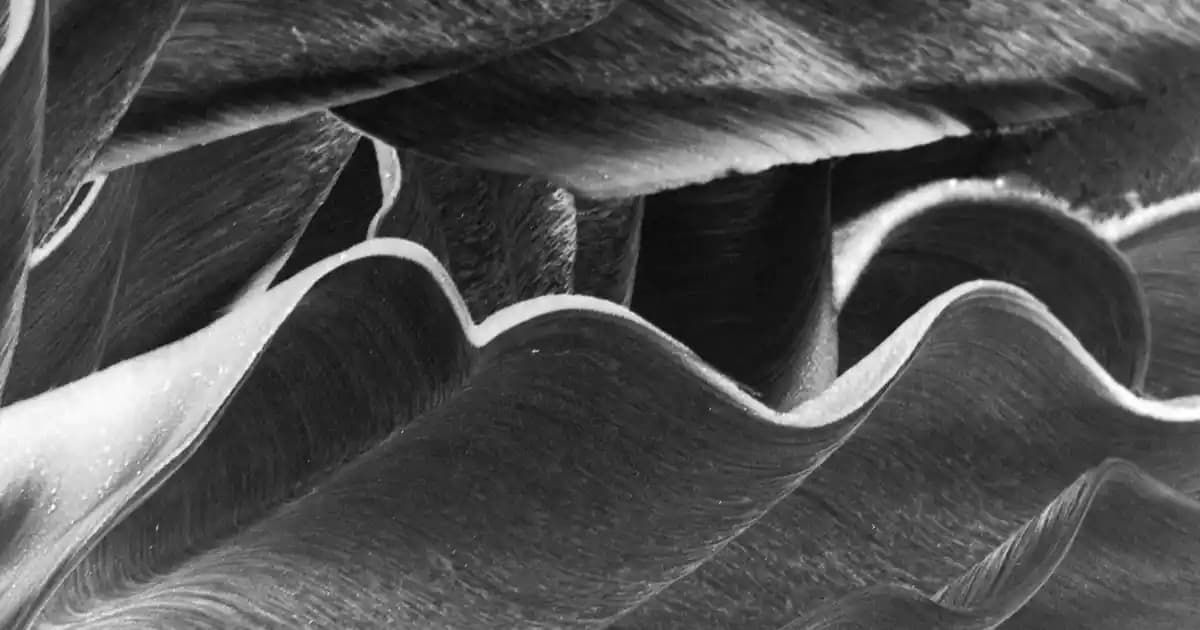 2025'te Gaziantep'te Pelet Sobası ile Kışın Soğuğunu Unutun