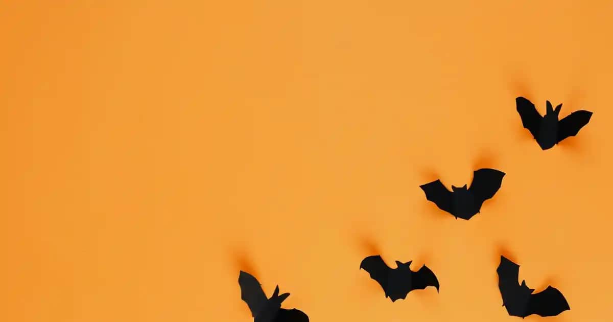 Gerçek Bitter Çikolata Markaları ve Sağlıklı Tercihler Rehberi