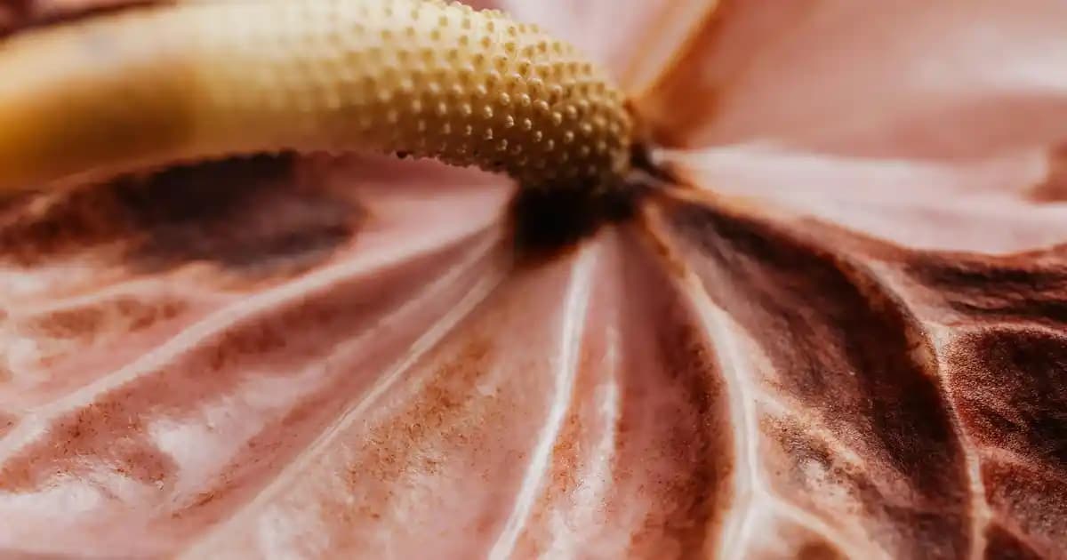 Gimat Poşetçi ve Ambalaj Firmaları: Süpermarketler İçin Çevre Dostu Çözümler