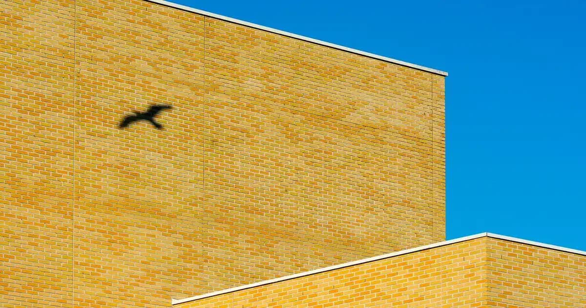 2025'te GM Dexos2 5W-30 ile Motor Performansınızı Zirveye Taşıyın