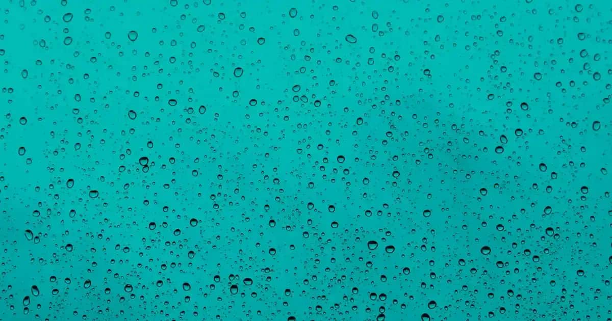 Gofret Çeşitleri ve Markalarıyla Tatlı Keyfi: Süpermarketlerde En Sevilen Lezzetler