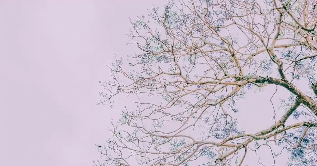 Goody 15 Kg Köpek Maması Fiyatları ve Özellikleri Migros ve Süpermarketlerde