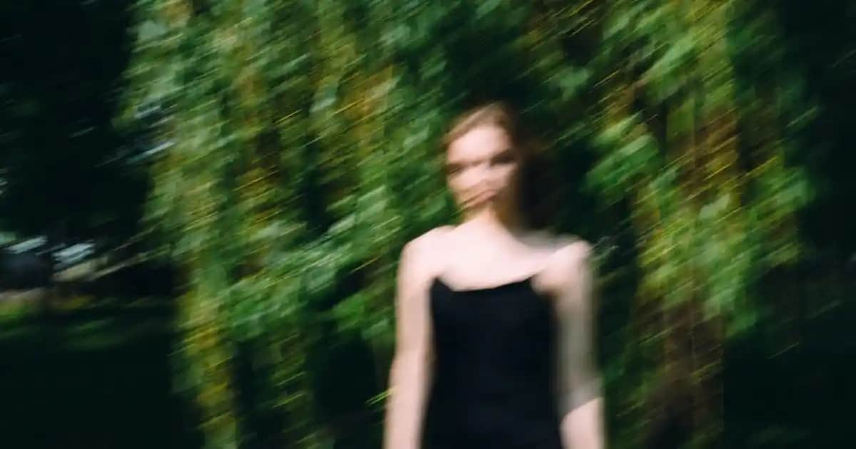 Güney Afrika Sardunyası: Sağlık Faydaları ve Doğal Şifa Kaynakları