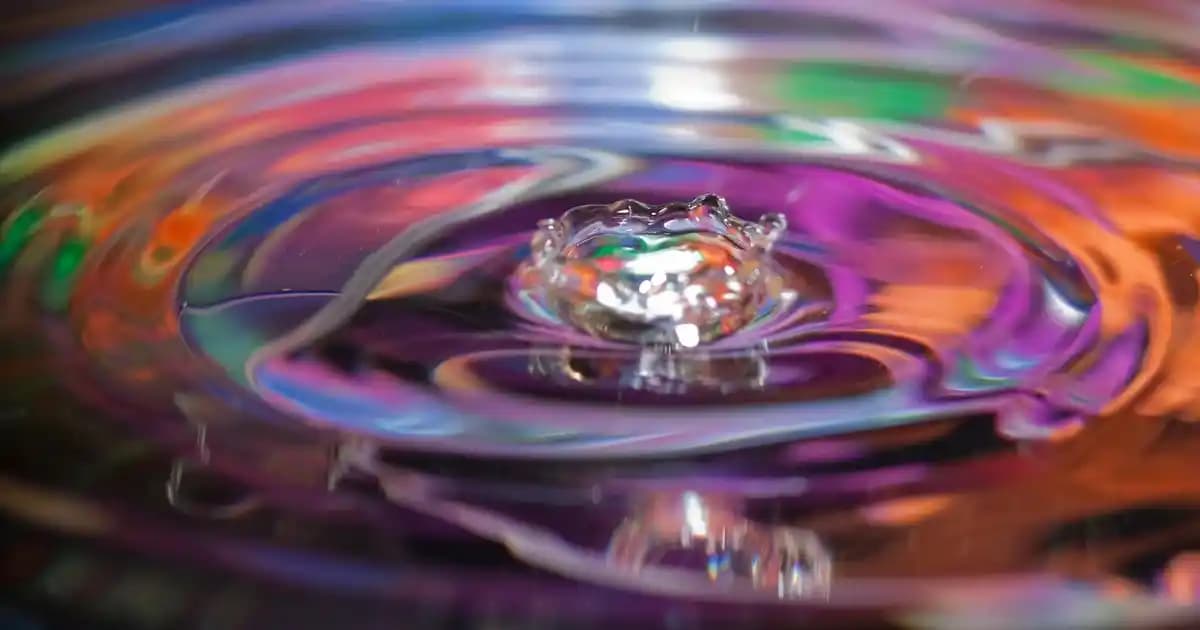 Halk Ekmek Sandviç Ekmeği: Sağlıklı ve Ekonomik Alternatifler Günlük Kullanım İçin