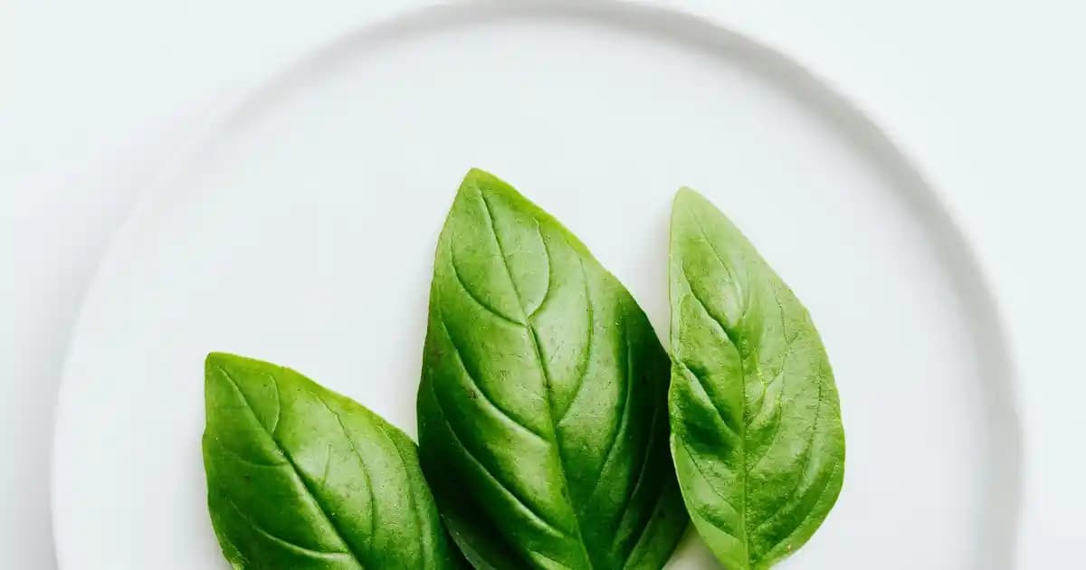 İçim Rahat Laktozsuz Süt ile Sağlıklı ve Rahat Bir Gün Geçirin