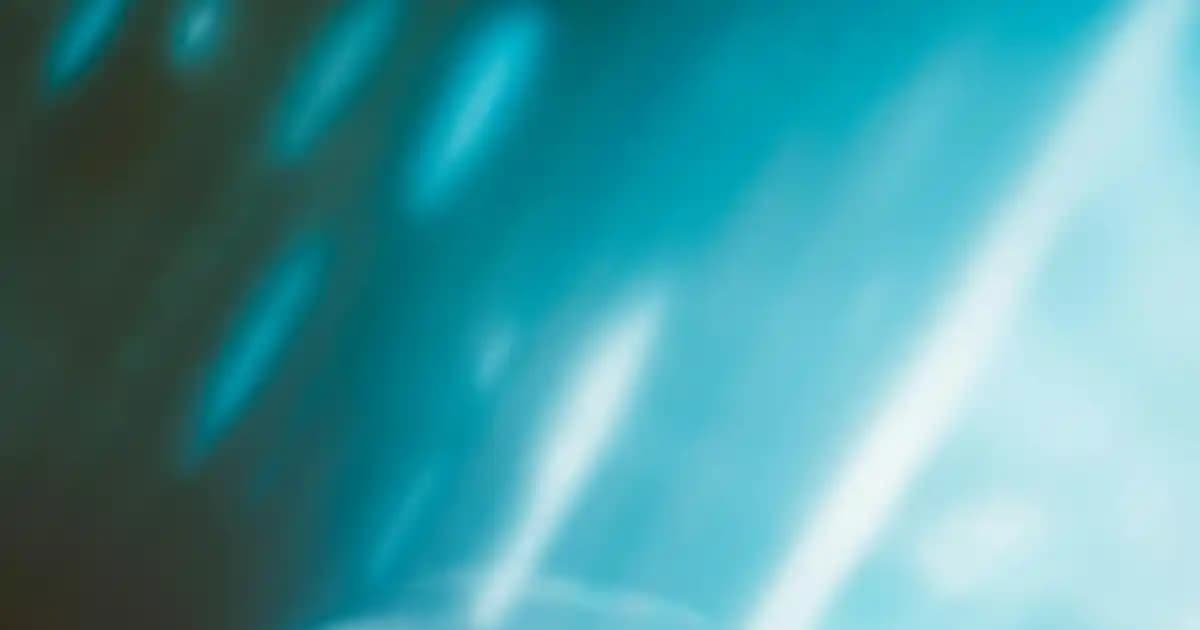 İkili Çikolata Nedir? Süpermarketlerde Popüler Çikolata Çeşitleri ve Alım İpuçları