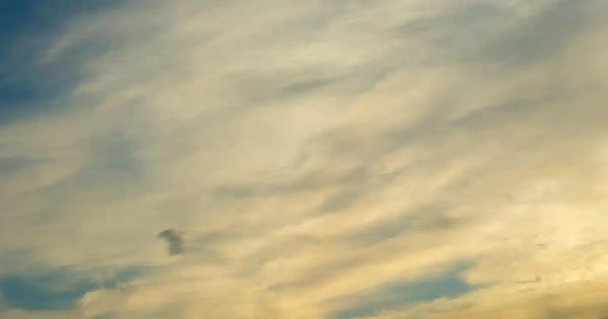 İkili Sunumluklar ile Sofralarınıza Şıklık ve Pratiklik Katın