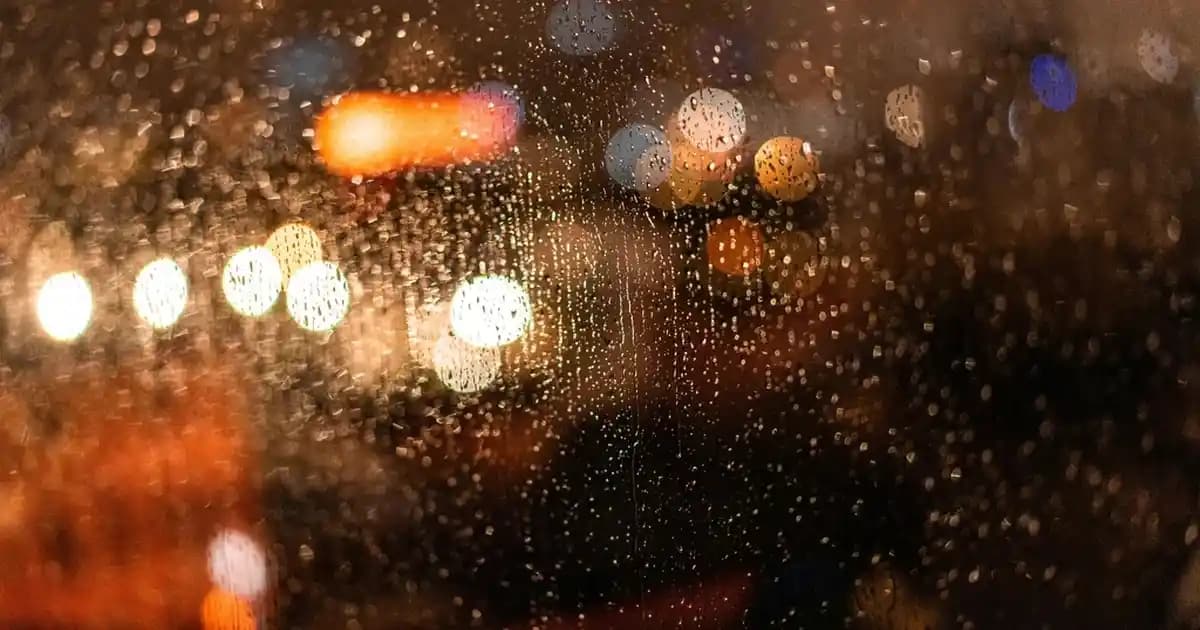 2025'te Immunace Vitamin İçeriği ile Bağışıklığınız Zirveye Çıkacak