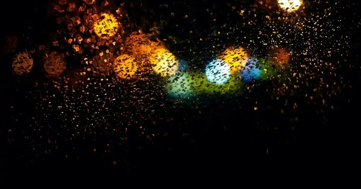 İnsan Vücudunun Temel Bölümleri ve Özellikleri Hakkında Kapsamlı Bilgi