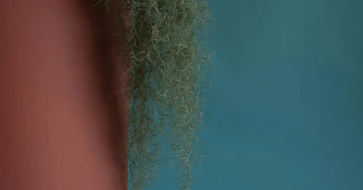 İskenderun'a Ulaşım: Mesafe ve Seyahat Süreleri Hakkında Detaylı Rehber