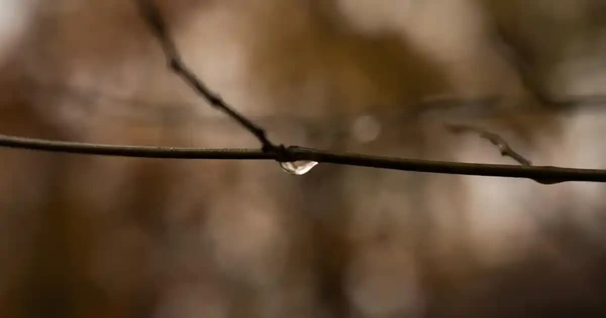 İstanbul'un En Büyük Lunaparkı ve Eğlence Merkezleri Rehberi